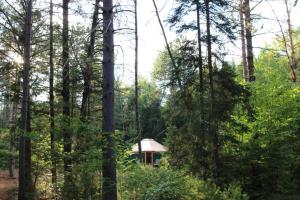 a small cabin in the middle of a forest at Allie Mae Yurt nestled in the woods in Brownfield