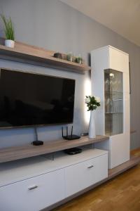 Kuchyň nebo kuchyňský kout v ubytování Apartmán Bára
