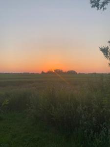 een grasveld met de zonsondergang op de achtergrond bij Guest room with terrace at the Wadden Sea in Oosterend