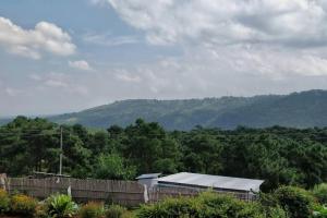 Gallery image of Roseville (Entire Apartment) in Shillong +28 photos