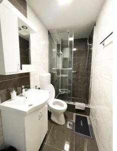 a bathroom with a toilet and a sink and a shower at Apartman Tijana in Pale