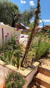 Vonkajšia záhrada v ubytovaní Casa los Laureles