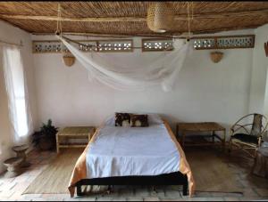 1 dormitorio con 2 gatos en una cama en INZU Lodge, en Gisenyi