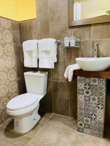a bathroom with a white toilet and a sink at Casa Mano de Tigre in Potrerillos