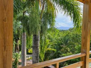 desde un porche con vistas a una palmera en Be Inspired at Villa Artistas!, en Arroyo Grande