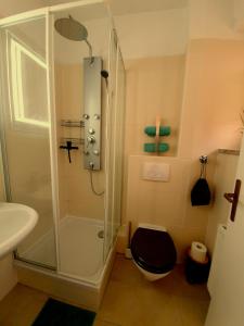 ein Bad mit einer Dusche, einem WC und einem Waschbecken in der Unterkunft Long Stay Appartement Kiel in Kiel