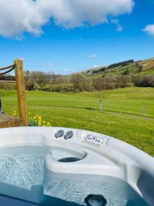 a bath tub with a toilet in a field at The Mallard Shepherd's Hut with Hot Tub in Brecon