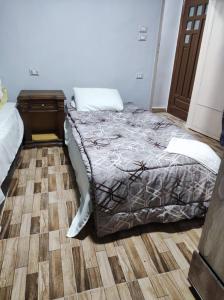 una camera con letto e pavimento in legno di Anita view hotel a Il Cairo