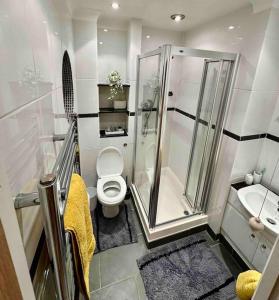 a bathroom with a shower and a toilet and a sink at Teta's House! in Oxford