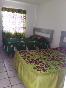 a bedroom with two beds with green comforter at Posada en celaya in Celaya