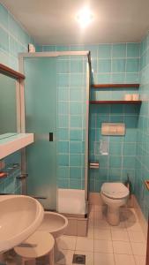 ein Bad mit einer Dusche, einem WC und einem Waschbecken in der Unterkunft Appartamento Dolomiti 138 Villaggio Turistico in Schluderbach