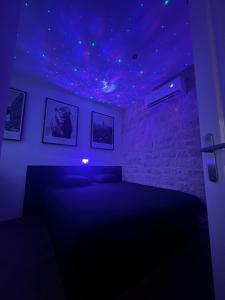 a bedroom with a bed with a starry ceiling at Appartement de luxe avec sauna pour 4 Personnes in Triel-sur-Seine