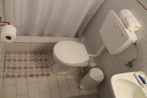 La petite salle de bains est pourvue de toilettes et d'un lavabo. dans l'établissement Villa Frideriki, à Agia Paraskevi