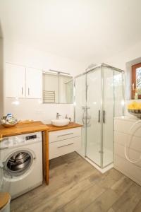 une salle de bain avec douche et machine à laver dans l'établissement Walters Appartment - Wohfühlurlaub für Mensch und Hund, à Anif