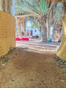 Fotografie z fotogalerie ubytování Palm house v destinaci Dahab