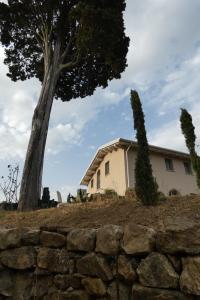 a house with a tree and a stone wall at b&b Tenuta il Molino in Quercianella