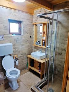 ZaovineにあるVila Planinski san 2のバスルーム(トイレ、洗面台付)