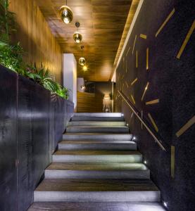 un pasillo con escaleras con plantas en las paredes en MX Grand Suites, en Ciudad de México