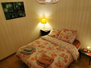 1 dormitorio con 1 cama y 1 lámpara en una mesa en Logement Colmar centre avec Parking, en Colmar
