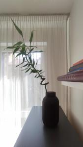 un vaso nero seduto su un tavolo con una pianta di Elegant Escape apartment II - City Centre a Bratislava