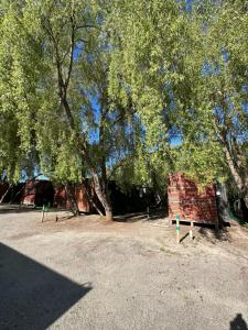 Fotografie z fotogalerie ubytování Cabañas Habitainer BordeRio v destinaci Concepción