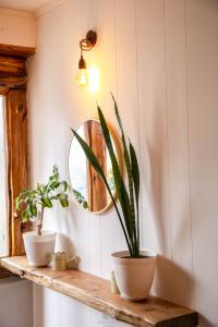 Afbeelding uit fotogalerij van Hostería Las Rosas in Esquel +18 foto's