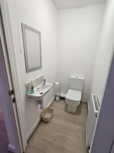 a bathroom with a toilet and a sink and a mirror at Stylish 2 Bedroom Semi-Detached House in Leicester in Leicester