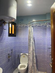 a bathroom with a toilet and a shower at Residence Adja Binta Kane Sour in Dakar