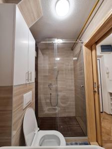 a bathroom with a shower and a toilet in it at Apartman Bazar in Sarajevo