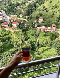 een persoon met een kopje thee en uitzicht op een vallei bij Rize Doğa Home 