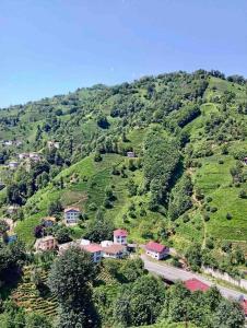 een klein dorpje op een heuvel met een weg bij Rize Doğa Home 