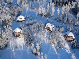 una vista aérea de un bosque cubierto de nieve con casas en SVILPJI Lakeside Retreat House in a Forest with all commodities en Amatciems