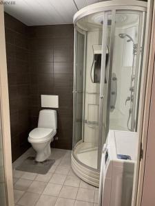 a bathroom with a toilet and a shower at Cosy studio near Aqva Spa in Rakvere