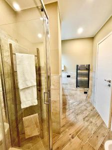 uma casa de banho com um chuveiro e uma cabina de duche em vidro. em Golden House-Super View On Turin em Turim