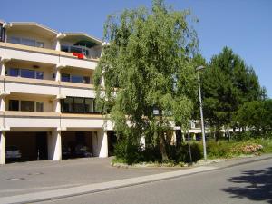 布拉斯里恩的住宿－Ferienwohnung F237 für 2-4 Personen an der Ostsee，前面有一棵树的白色大建筑
