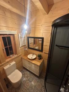 W łazience znajduje się toaleta, umywalka i lustro. w obiekcie Słoneczna Chata z Bali w mieście Lądek-Zdrój