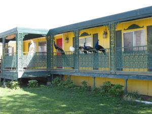 Gallery image of Shady Lady Bed and Breakfast in Scottys Junction