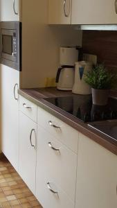 een keuken met witte kasten en een zwart aanrechtblad bij Jacobihof Haus 3 Wohnung 01 in Dahme