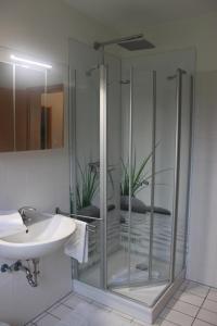 een badkamer met een glazen douche en een wastafel bij Jacobihof Haus 3 Wohnung 01 in Dahme +7 foto's