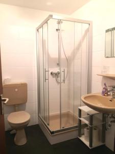 a bathroom with a shower and a toilet and a sink at Seeschloss 34 in Dahme
