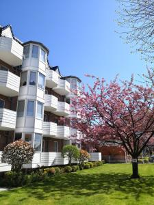 a flowering tree in front of a building at Seeschloss 34 in Dahme
