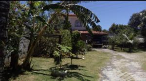 una casa con una palmera frente a un patio en Casa com piscina , perto da praia, en São Pedro da Aldeia
