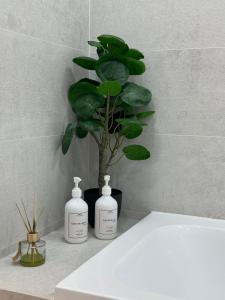 a bathroom with two bottles of soap and a plant at Квартира на Подолье in Vinnytsya