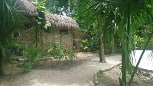 Zahrada ubytování Villas Eco-Románticas Kúuch Ka´anil