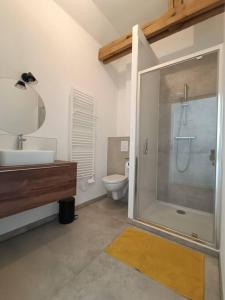 La salle de bains est pourvue d'une douche, d'un lavabo et de toilettes. dans l'établissement Grange moderne près de Rennes avec jolie vue !, à Gévezé
