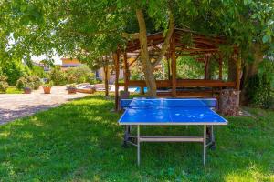 una mesa de ping pong azul frente a un cenador en Tolle Ferienwohnung mit großem Pool, 2 Schlafzimmer, Klima, WLAN, Observatorium, Volleyballfeld, Tischtennis und Kicker, en Valtura
