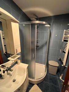 een badkamer met een douche en een wastafel bij Miss apartman in Jagodina