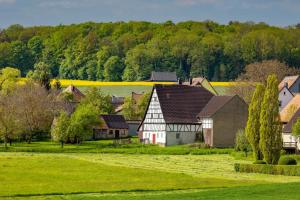 a group of houses in a green field with trees at Ferienhaus Rote Sau in Herrentierbach
