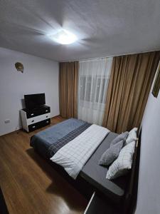 ein Schlafzimmer mit einem Bett und einem TV in der Unterkunft Gheorghe Lazar Nest in Timişoara