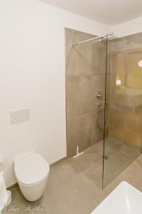 a bathroom with a toilet and a glass shower at Ferienwohnung Maierers Schaiere in Gammesfeld